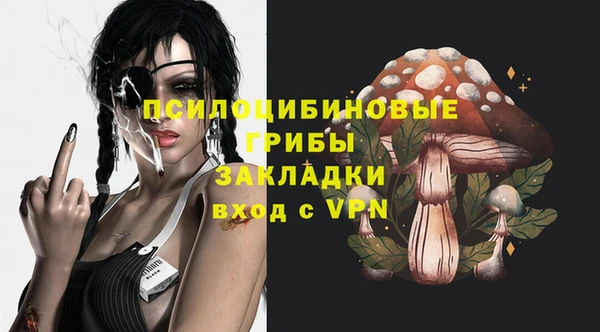 таблы Каменка
