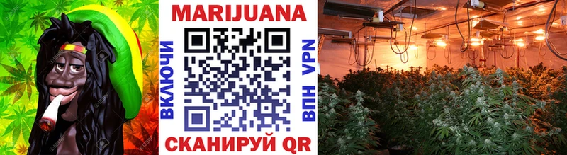 Марихуана OG Kush Ачинск